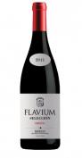 Flavium - Seleccion Bierzo 0 (750)